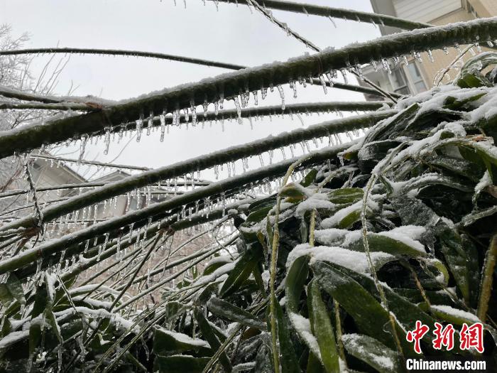 湖北低溫雨雪冰凍災(zāi)害應(yīng)急響應(yīng)升級(jí)